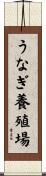 うなぎ養殖場 Scroll