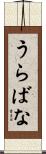 うらばな Scroll
