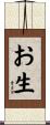 お生 Scroll