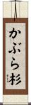 かぶら杉 Scroll
