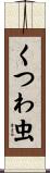 くつわ虫 Scroll