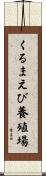 くるまえび養殖場 Scroll