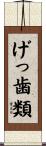 げっ歯類 Scroll