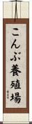 こんぶ養殖場 Scroll