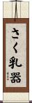 さく乳器 Scroll