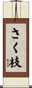 さく枝 Scroll