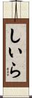 しいら Scroll
