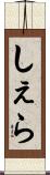 しぇら Scroll