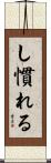 し慣れる Scroll