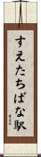 すえたちばな駅 Scroll