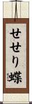 せせり蝶 Scroll