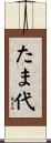 たま代 Scroll