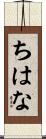 ちはな Scroll