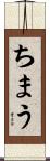 ちまう Scroll