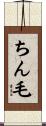 ちん毛 Scroll