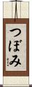 つぼみ Scroll