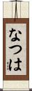 なつは Scroll