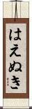 はえぬき Scroll