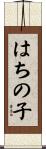 はちの子 Scroll