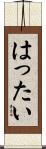 はったい Scroll