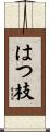 はつ枝 Scroll
