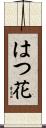 はつ花 Scroll
