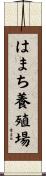 はまち養殖場 Scroll