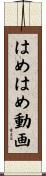 はめはめ動画 Scroll