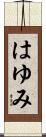 はゆみ Scroll