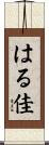 はる佳 Scroll