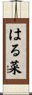 はる菜 Scroll
