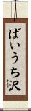 ばいうち沢 Scroll