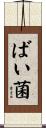 ばい菌 Scroll
