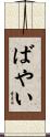 ばやい Scroll