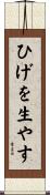 ひげを生やす Scroll
