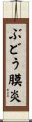 ぶどう膜炎 Scroll