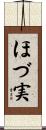 ほづ実 Scroll