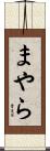 まやら Scroll