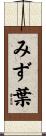 みず葉 Scroll