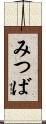 みつば Scroll