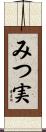 みつ実 Scroll