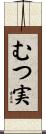 むつ実 Scroll