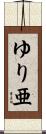 ゆり亜 Scroll
