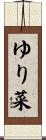 ゆり菜 Scroll
