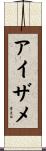 アイザメ Scroll