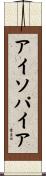 アイソパイア Scroll