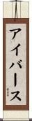 アイバース Scroll