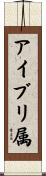 アイブリ属 Scroll