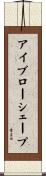 アイブロー・シェープ Scroll