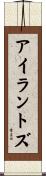 Irantzu Scroll